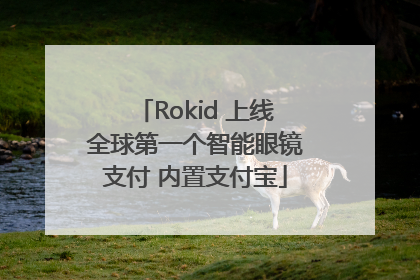 Rokid 上线全球第一个智能眼镜支付 内置支付宝